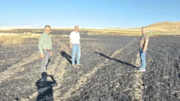 Sivas’ta Korkutan Tarla Yangını! Şarkışla’da 100 Dekarlık Arpa Ekili Alan Kül Oldu