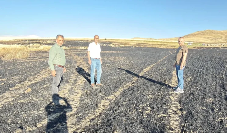 Sivas’ta Korkutan Tarla Yangını! Şarkışla’da 100 Dekarlık Arpa Ekili Alan Kül Oldu