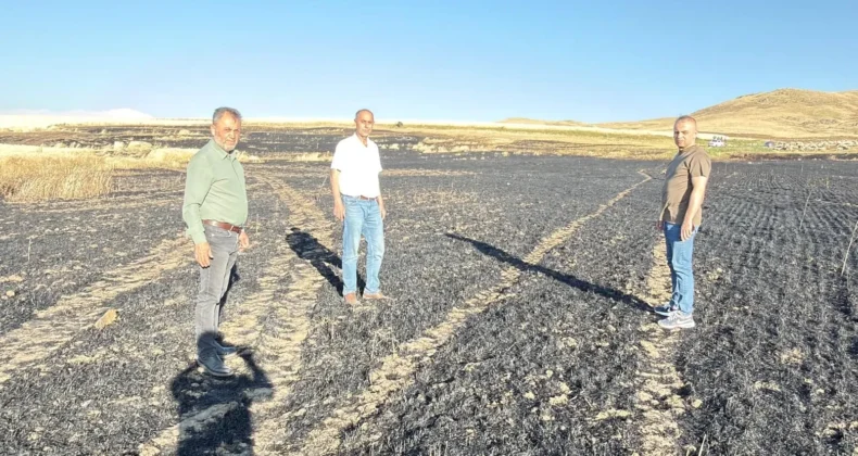 Sivas’ta Korkutan Tarla Yangını! Şarkışla’da 100 Dekarlık Arpa Ekili Alan Kül Oldu