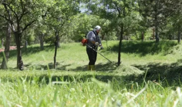 Uzmandan Kene Uyarısı! “Bir Dişi Kene 10 Bin Yumurta Bırakabiliyor”