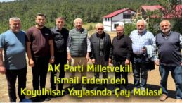 AK Parti Milletvekili İsmail Erdem’den Koyulhisar Yaylasında Çay Molası! Samimi Buluşma İlgi Gördü