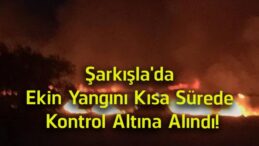 Şarkışla’da Ekin Yangını Kısa Sürede Kontrol Altına Alındı! Facia Büyümeden Önlendi