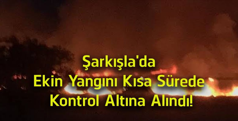 Şarkışla’da Ekin Yangını Kısa Sürede Kontrol Altına Alındı! Facia Büyümeden Önlendi