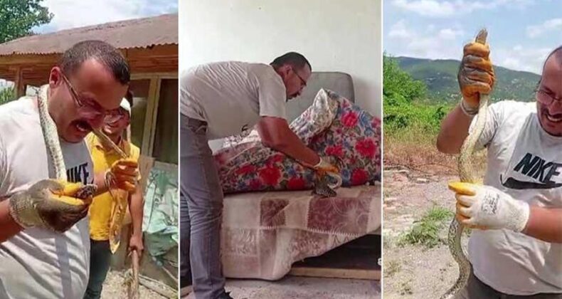 Evde Yılan Paniği! Yakaladığı Yılanı Boynuna Doladı, O Anlar Şaşırttı