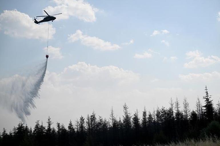 Ankara'daki ot yangınından görüntü