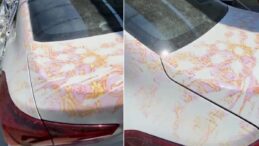 Araç Sahipleri Dikkat! Güneşten Korusun Derken Kaportayı Mahveden Branda Tehlikesi