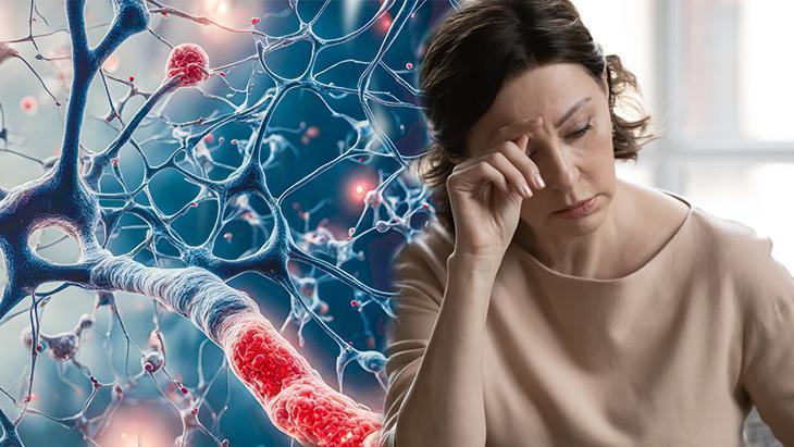 Uzun Yaşamın Sırrı Hormonlarda Saklı! Uzmandan Sağlıklı Bir Ömür İçin 5 Altın Öneri
