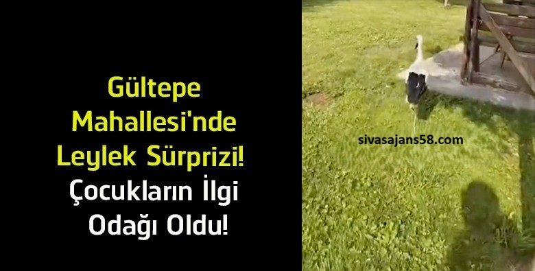 Gültepe Mahallesi’nde Leylek Sürprizi! Parkta Çocukların Neşesi Oldu