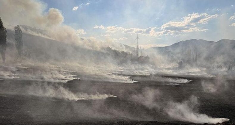 Çorum’da Korkutan Orman Yangını! Alevler Meyve Bahçeleri ve Ormanlık Alana Sıçradı