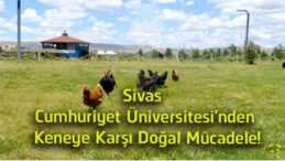 Sivas Cumhuriyet Üniversitesi’nden Keneye Karşı Çevreci Hamle! Gezici Tavuk Kümesleri Kampüste Göreve Başladı