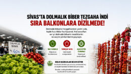 Sivas’ta Kışlık Mesaisi Başladı! Dolmalık Biberler Tezgâhlarda Yerini Aldı