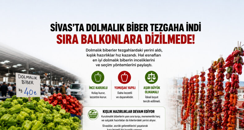 Sivas’ta Kışlık Mesaisi Başladı! Dolmalık Biberler Tezgâhlarda Yerini Aldı