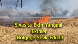 Sivas’ta Ekin Yangını! Şarkışla’da Alevler Tarlaları Sardı, Ekipler Seferber Oldu
