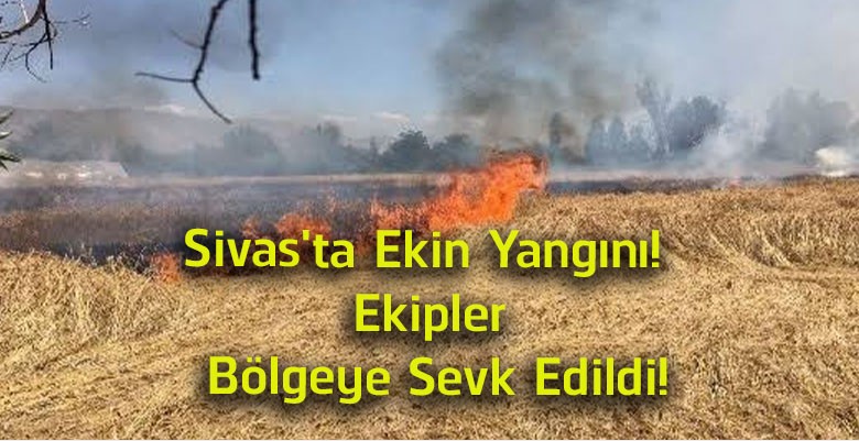 Sivas’ta Ekin Yangını! Şarkışla’da Alevler Tarlaları Sardı, Ekipler Seferber Oldu