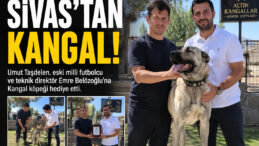 Emre Belözoğlu’na Sivas’tan Anlamlı Hediye! Safkan Kangal Teslim Edildi