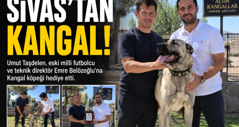 Emre Belözoğlu’na Sivas’tan Anlamlı Hediye! Safkan Kangal Teslim Edildi