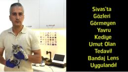 Sivas’ta Gözleri Görmeyen Yavru Kediye Umut Oldular! “Perde”ye Bandaj Lens Tedavisi Uygulandı