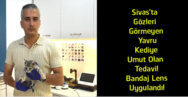 Sivas’ta Gözleri Görmeyen Yavru Kediye Umut Oldular! “Perde”ye Bandaj Lens Tedavisi Uygulandı