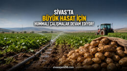 Sivas’ta Kışlık Hasat Heyecanı! Patates ve Şeker Pancarında Yoğun Mesai Sürüyor