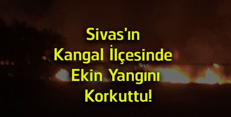 Sivas’ın Kangal İlçesinde Ekin Yangını Korkuttu! Alevler Büyümeden Kontrol Altına Alındı