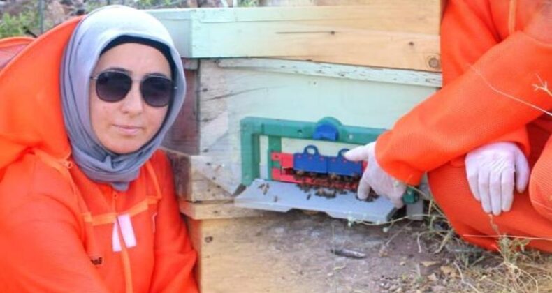 Kalp Krizi ve Kanser Sonrası Arıcılığa Başladı! Siparişlere Yetişemiyor, 500 Kovan Hedefliyor