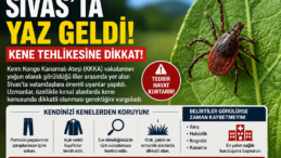 Sivas’ta Kene Alarmı! Uzmanlardan Yaz Ayları İçin Hayati Uyarılar