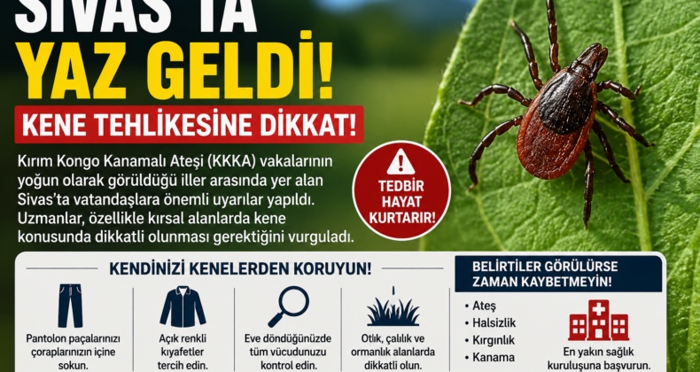 Sivas’ta Kene Alarmı! Uzmanlardan Yaz Ayları İçin Hayati Uyarılar