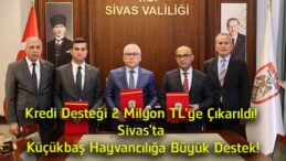 Sivas’ta Küçükbaş Hayvancılığa Dev Destek! Kredi Limiti 2 Milyon TL’ye Yükseltildi