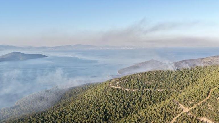 Muğla Milas orman yangını