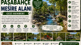 Paşabahçe Mesire Alanı Gezi Rehberi | Sivas’ın Şehir İçindeki Doğa Cenneti