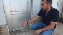 Hafik’te Sağanak Sonrası İlginç Manzara! Binlerce Yavru Kurbağa Ortaya Çıktı