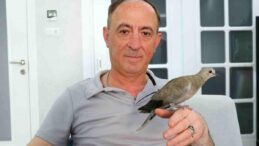 Kargaların Saldırısından Kurtardığı Kumruya Gözü Gibi Baktı! “Artık Ailemizin Bir Parçası Oldu”