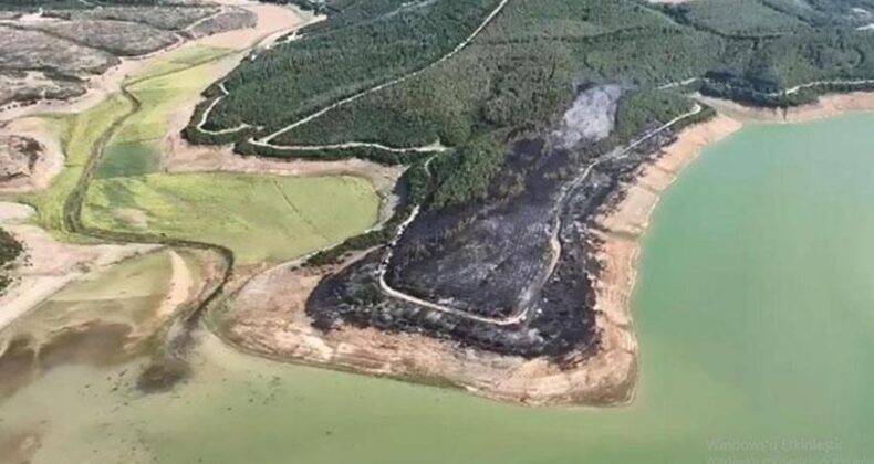 Tekirdağ’da Orman Yangını Kontrol Altına Alındı! 80 Dekarlık Alan Zarar Gördü