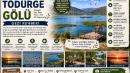Tödürge Gölü Gezi Rehberi | Sivas’ın Doğal Yaşam Cenneti