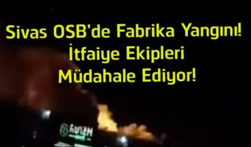 Sivas OSB’de Fabrika Yangını! İtfaiye Ekipleri Alevlere Müdahale Ediyor