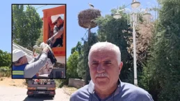 Sivas’ta Yaralı Leylek Yavrusu Yeniden Yuvasına Kavuştu! Ekiplerden Örnek Dayanışma