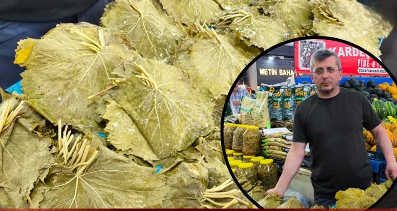 Sivas Sebze Hali’nde Tokat Yaprağı Bereketi! Yeni Mahsul Geldi, Fiyatlar 200 TL’ye Düştü